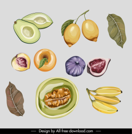 plants icons retro handdrawn fruits leaf sketch