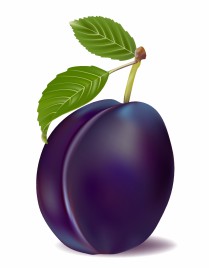 plum and leaves