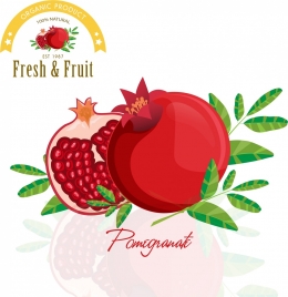 pomegranate advertisement red green icon shiny design
