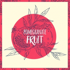pomegranate drawing handdrawn outline retro design