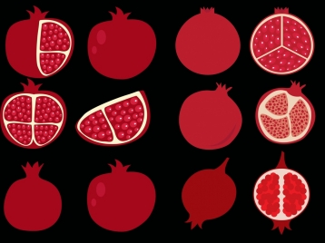 pomegranate icons collection red flat design