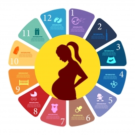pregnancy concept design with colored infographic style