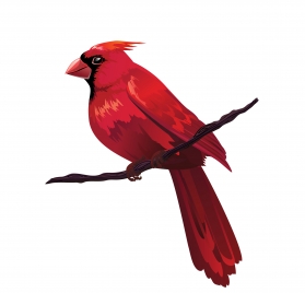 red bird on tree branch