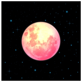 round moon in space vector illustration