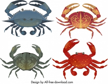 sea crab icon templates colorful modern design