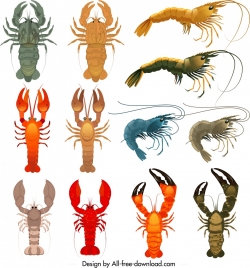 shrimp icons collection colorful shapes sketch