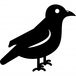 silhouette crow raven species icon