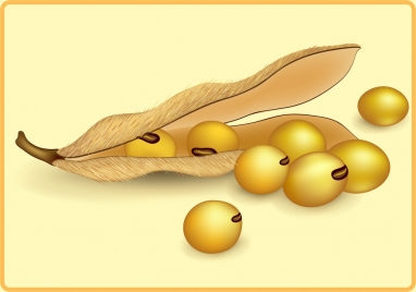 soybean icon shiny 3d decoration
