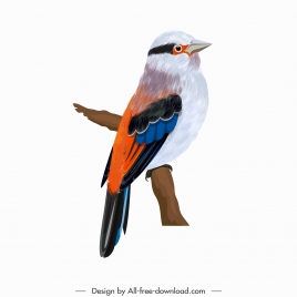 sparrow bird icon colorful cute design perching sketch
