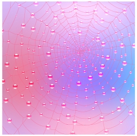spider web with dewdrop background