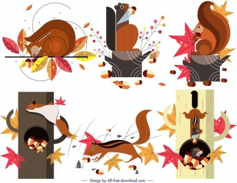 squirrel animal icons collection funny design colorful decor