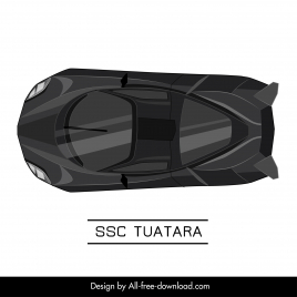ssc tuatara car model icon modern symmetric top view design