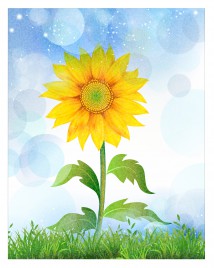 sunflower in green grass and blue sky