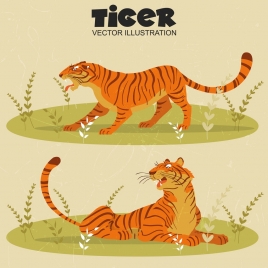 tiger drawing colored classical design