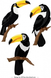 toucan bird icons colorful perching sketch