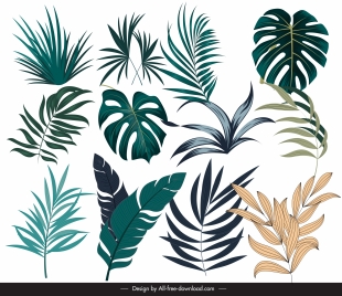 tropical leaf icons modern colored handdrawn design
