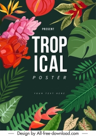tropical nature poster colorful classic leaf floral decor