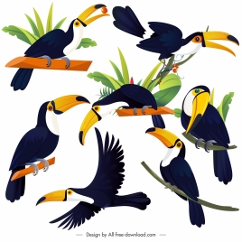 tucan birds icons colorful cartoon sketch