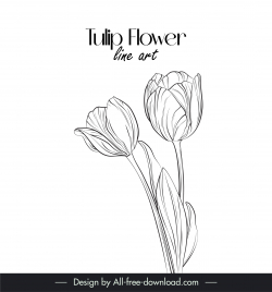 tulip flower line art design elements handdrawn outline