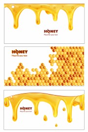 vector honey banners