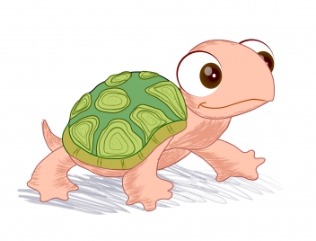 vector illustration of hand drawn turtle