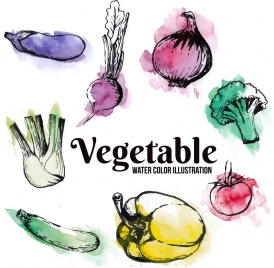 vegetables background watercolored grunge decor ingredients icons