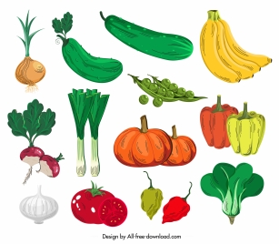vegetables icons colorful classical handdrawn design