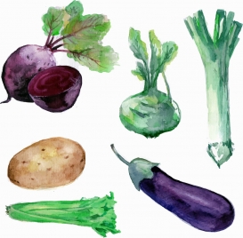 vegetables icons watercolored handdrawn sketch