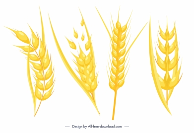 wheat flower icons bright golden dynamic design