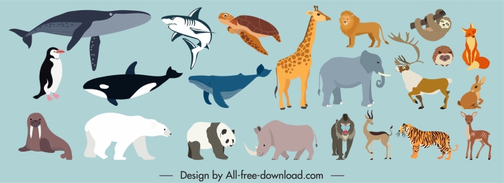 wild animals species icons colored cartoon sketch