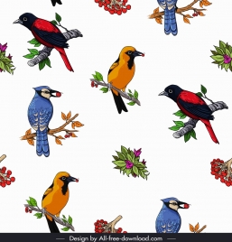 wild birds pattern colorful species icons decor