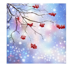 winter scenes with branch and red fruit