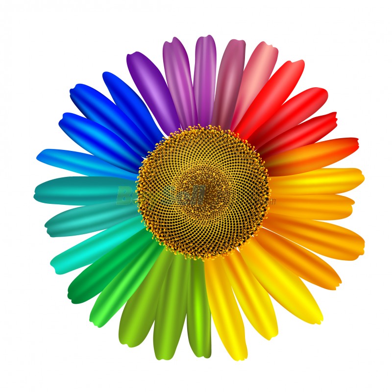 Raster realistic colorful flower isolated on white background vector ...